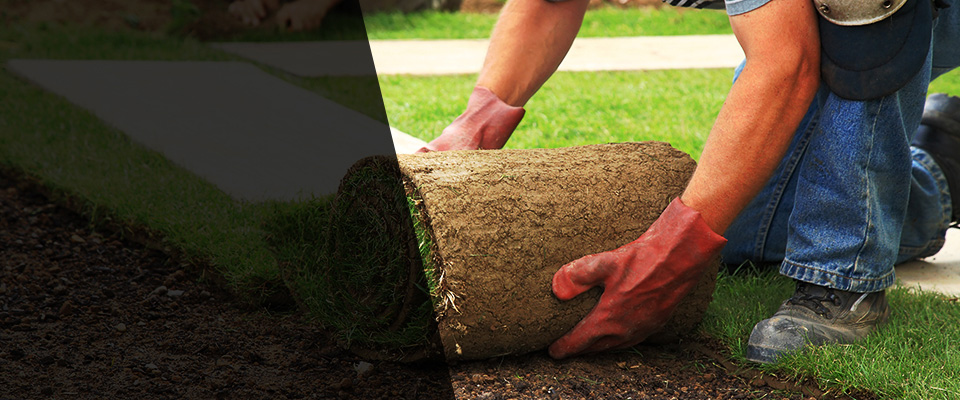 Fort Madison Landscapers